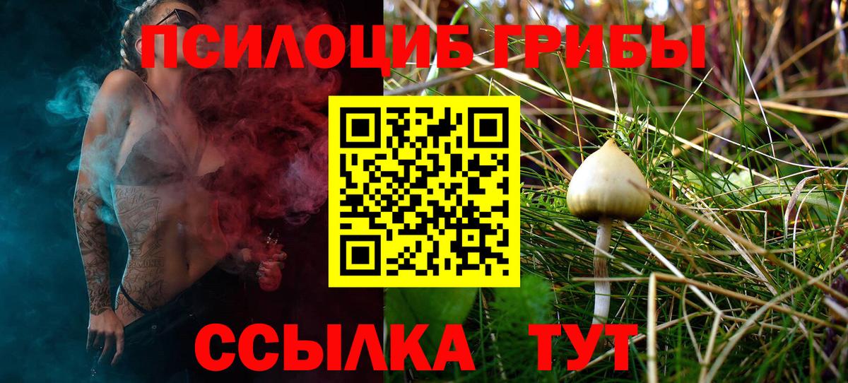 Пенза  Галлюциногенные грибы мухоморы  Вход с VPN 