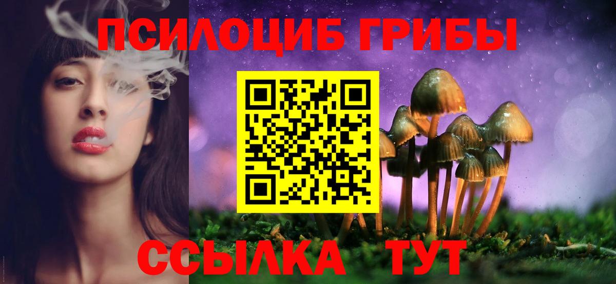 Галлюциногенные грибы мухоморы Пенза